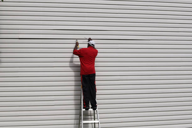 Best Steel Siding Installation  in Carrollton, KY