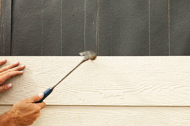 Best Custom Trim and Detailing for Siding  in Carrollton, KY